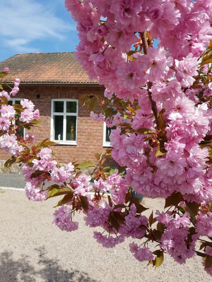 Hoerlinge Guesthouse Finja Exterior photo
